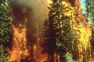 220px-Wildfire_in_California